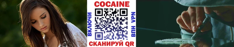 COCAIN Fish Scale  купить закладку  Верещагино 