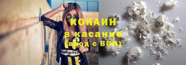 гашик Белокуриха