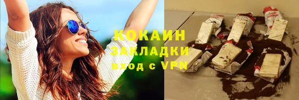 гашик Белокуриха