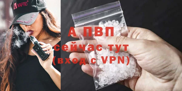 гашик Белокуриха