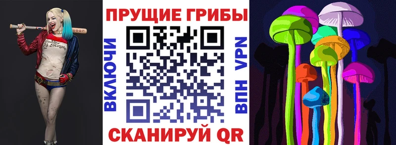 Псилоцибиновые грибы Psilocybe дарнет шоп Верещагино